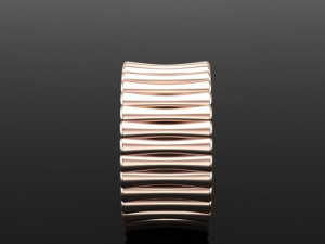 bone design ring Modèle 3D
