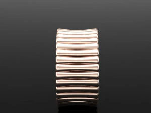 bone design ring 3D Model