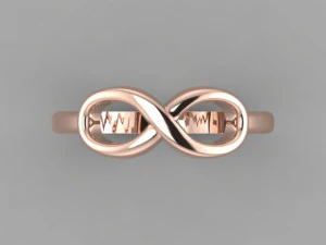 anello infinito Modello 3D