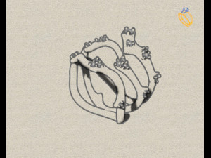 branch ring Model 3D