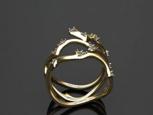 anello di ramo Modello 3D