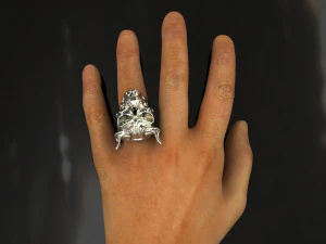 anello del teschio Modello 3D