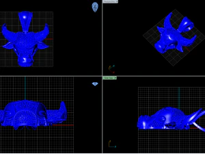BULL HEAD 3D Model