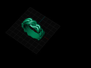 WICKER RING 3D Model