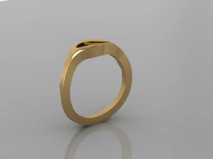ANELLO ONDA Modello 3D