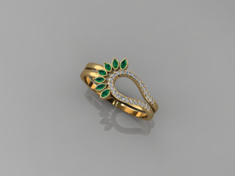 Ring Model 3D