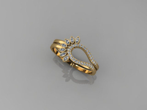 Ring Model 3D