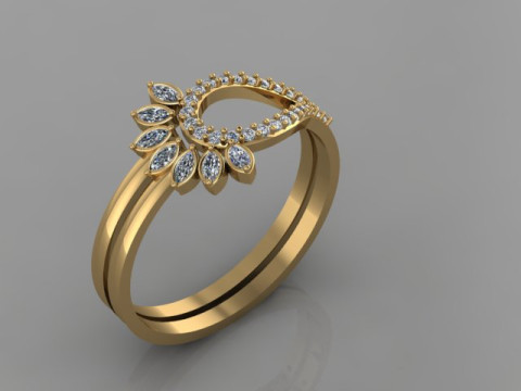 Ring Model 3D