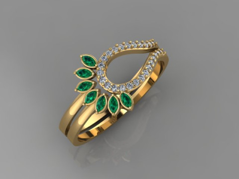 Ring Model 3D