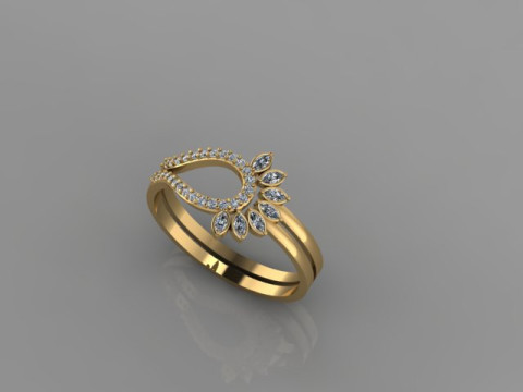 Ring Model 3D