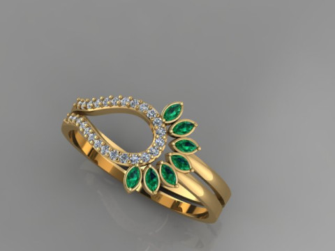 Ring Model 3D