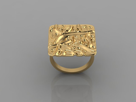 Fashion Ring 3D Model