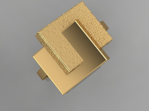 Fashion Ring 3D Model