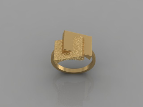 Fashion Ring 3D Model
