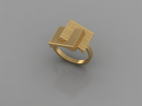 Fashion Ring 3D Model