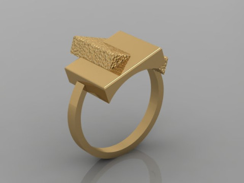 Fashion Ring 3D Model
