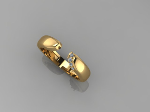 Nice Ring 3Dモデル