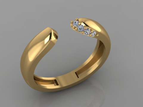 Nice Ring 3Dモデル