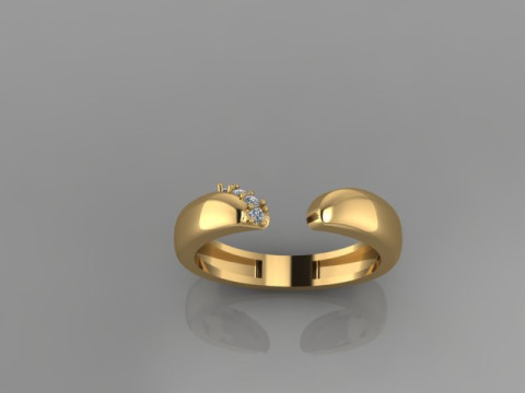 Nice Ring 3Dモデル