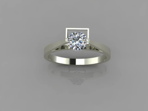 Future Elegance Ring 3D Model