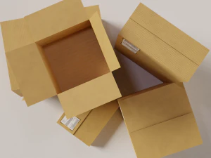 cardboard box package with texture 3D Model