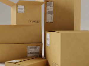 cardboard box package with texture 3D Model