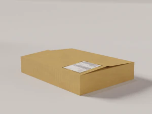 cardboard box package with texture 3D Model