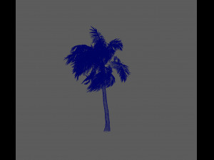 palm tree animation 3D 模型