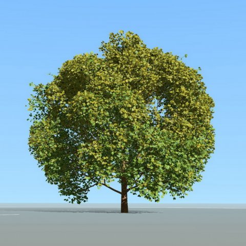 big tree and wind effect 3D Модель .c4d .max .obj .3ds .fbx .stl .blend 