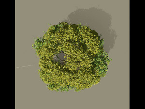 big tree and wind effect 3D Модель