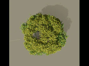 Эффект большого дерева и ветра 3D Модель