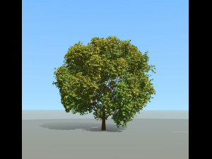 big tree and wind effect 3D Модель