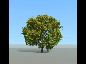 Эффект большого дерева и ветра 3D Модель
