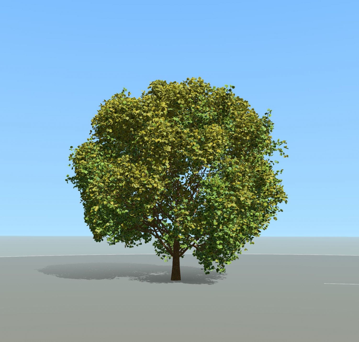 Big Tree Go War