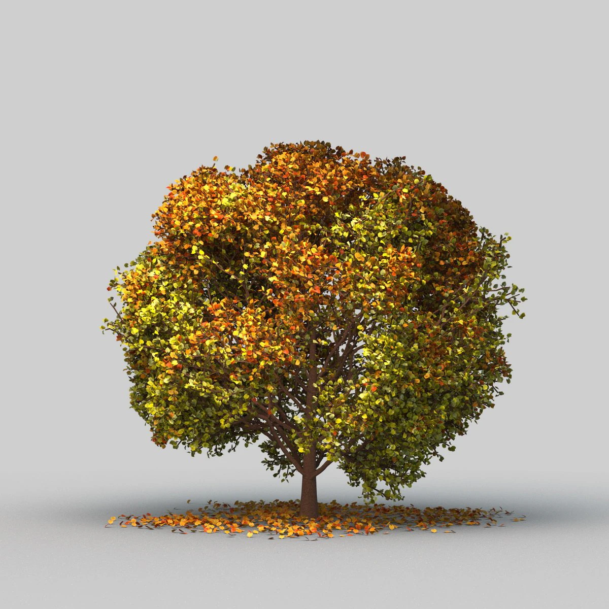 big tree model summer season with wind animation 3D Model .c4d .max .obj .3ds .fbx .stl .blend 