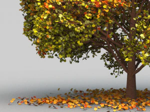big tree model summer season with wind animation 3D Model