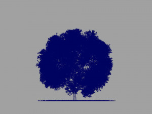 big tree model summer season with wind animation Model 3D
