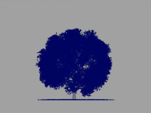 big tree model summer season with wind animation 3D Model