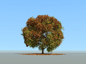 big tree model summer season with wind animation Model 3D
