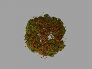 big tree model summer season with wind animation Model 3D