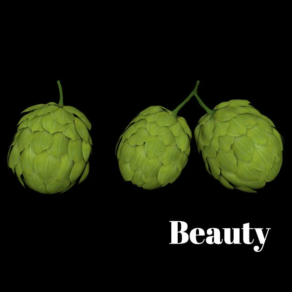 hops hernb animation loop handle realistic 3D Model .c4d .max .obj .3ds .fbx .stl .blend 