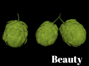 hops hernb anima&ccedil;&atilde;o loop al&ccedil;a realista Modelo 3D