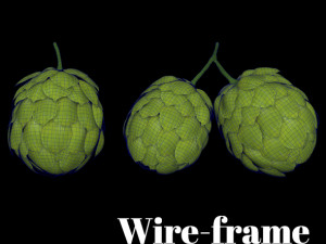 hops hernb animation loop handle realistic 3D Model