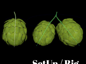 hops hernb animation loop handle realistic 3D Model