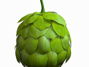 hops hernb animation loop handle realistic 3D Model