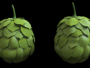 hops hernb animation loop handle realistic 3D Model