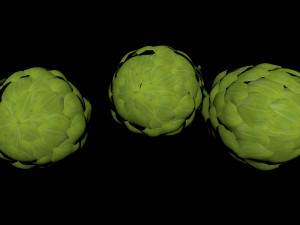 hops hernb animation loop handle realistic 3D Model