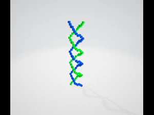 voxeldna 3D Model