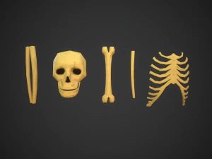 Stylized bones 3D Model
