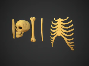 Stylized bones 3D Model